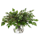 Birch Leaf, Faux Watergarden, 15″