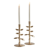 Brier Taper Holders - Set of 2 | ready to ship!