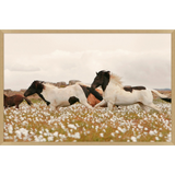 Wildflower Stallions Art