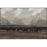 Wild West Legends I Art