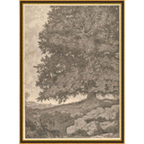 Grandfather's Tree Art