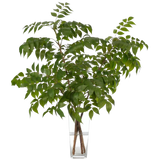 Wisteria Leaf, Faux Watergarden, 35″