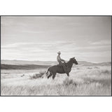 Range Rider Art - 50 x 36