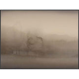 Haze I Art - 40 x 30