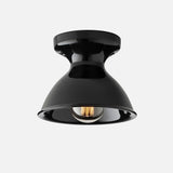 Alabax Large Flush Mount