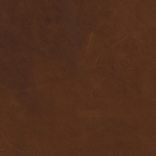 Dakota Tobacco Four Hands Sample | Amethyst Home