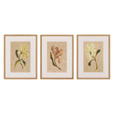 Blooms I Triptych by Brittney Schulz