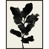  Amethyst Home provides interior design, new construction, custom furniture, and area rugs in the Kansas City metro area