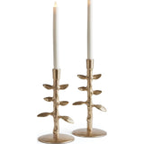 Brier Taper Holders - Set of 2  Napa Home & Garden