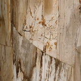 Featuring Aida Light Petrified Wood End Table by Four Hands at Amethyst Home. A perfectly scaled end table of petrified wood is an instant head turner, bringing an earthen look to your space.Overall Dimensions: 24.00"w x 24.00"d x 22.00"hWeight : 124.56 lbsMaterials: Petrified Wood. Amethyst Home provides interior design, new home construction design consulting, vintage area rugs, and lighting in the Alpharetta metro area.