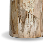 Featuring Aida Light Petrified Wood End Table by Four Hands at Amethyst Home. A perfectly scaled end table of petrified wood is an instant head turner, bringing an earthen look to your space.Overall Dimensions: 24.00"w x 24.00"d x 22.00"hWeight : 124.56 lbsMaterials: Petrified Wood. Amethyst Home provides interior design, new home construction design consulting, vintage area rugs, and lighting in the Los Angeles metro area.