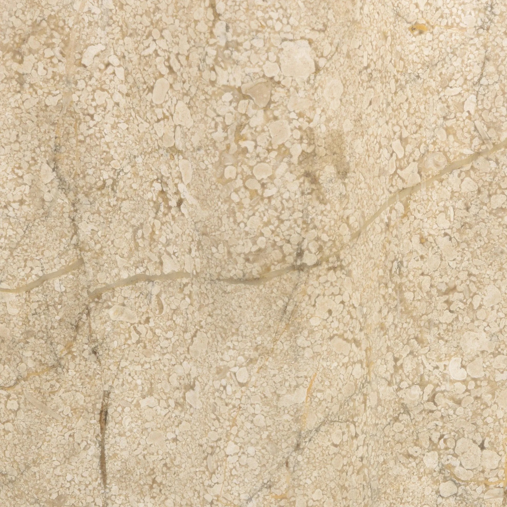 Turned Italian marble in a curved scalloped shape directs the light beautifully. The sculpted stone's organic tones and brushed brass iron back plating make for high-quality, décor-driven detail Amethyst Home provides interior design, new home construction design consulting, vintage area rugs, and lighting in the Portland metro area.