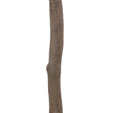 Dense foliage and high-quality construction shape the branches and leaves of this faux aralia tree, for a realistic look that's designed for easy living. Ships in a black plastic liner pot. For indoor use only Amethyst Home provides interior design, new home construction design consulting, vintage area rugs, and lighting in the Austin metro area.