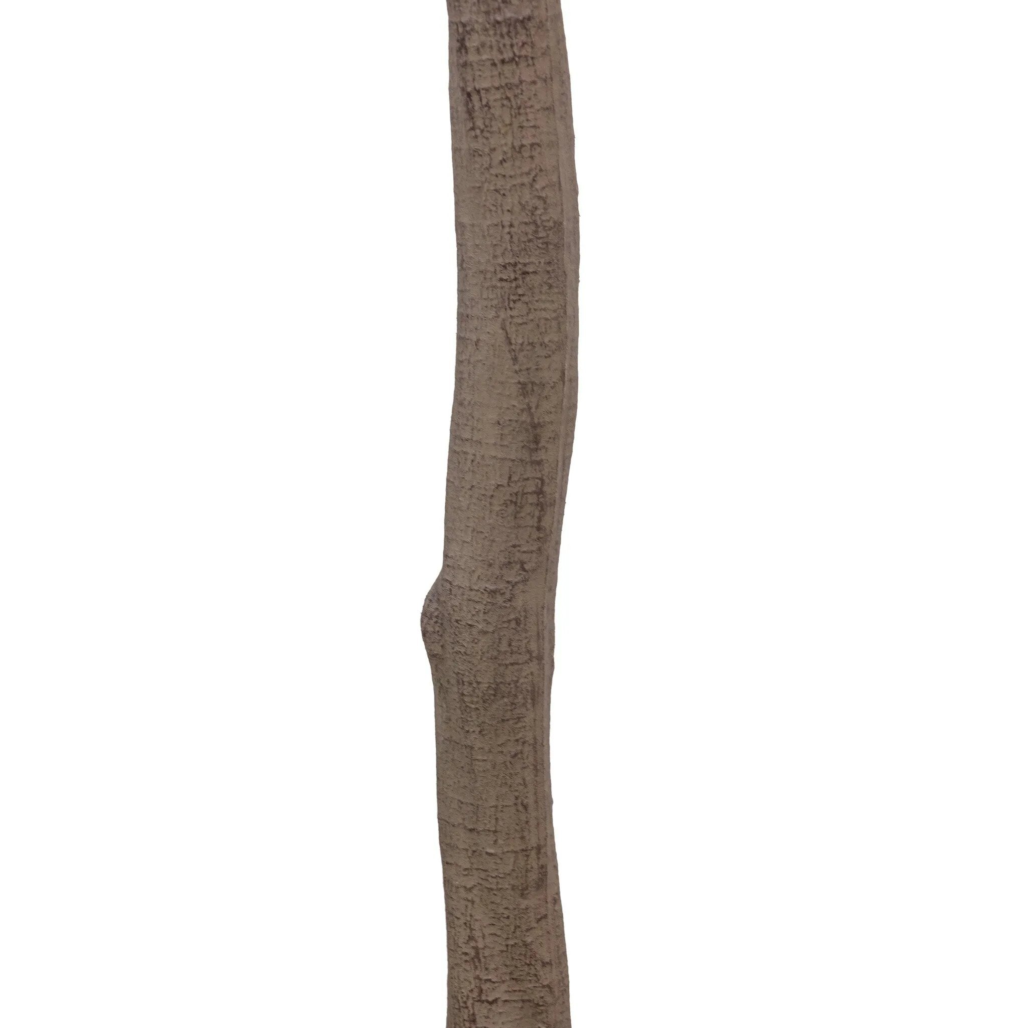 Dense foliage and high-quality construction shape the branches and leaves of this faux aralia tree, for a realistic look that's designed for easy living. Ships in a black plastic liner pot. For indoor use only Amethyst Home provides interior design, new home construction design consulting, vintage area rugs, and lighting in the Austin metro area.