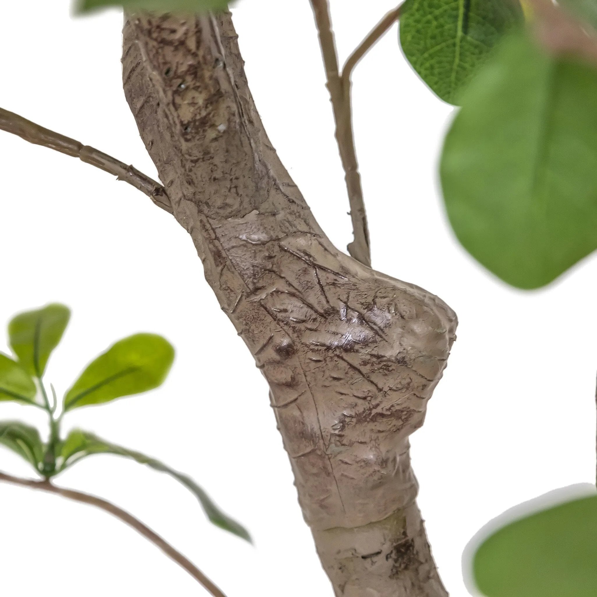 Dense foliage and high-quality construction shape the branches and leaves of this faux aralia tree, for a realistic look that's designed for easy living. Ships in a black plastic liner pot. For indoor use only Amethyst Home provides interior design, new home construction design consulting, vintage area rugs, and lighting in the Des Moines metro area.