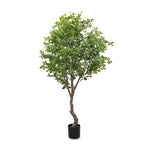 Dense foliage and high-quality construction shape the branches and leaves of this faux aralia tree, for a realistic look that's designed for easy living. Ships in a black plastic liner pot. For indoor use only Amethyst Home provides interior design, new home construction design consulting, vintage area rugs, and lighting in the Newport Beach metro area.