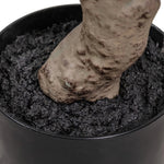 Dense foliage and high-quality construction shape the branches and leaves of this faux aralia tree, for a realistic look that's designed for easy living. Ships in a black plastic liner pot. For indoor use only Amethyst Home provides interior design, new home construction design consulting, vintage area rugs, and lighting in the Omaha metro area.