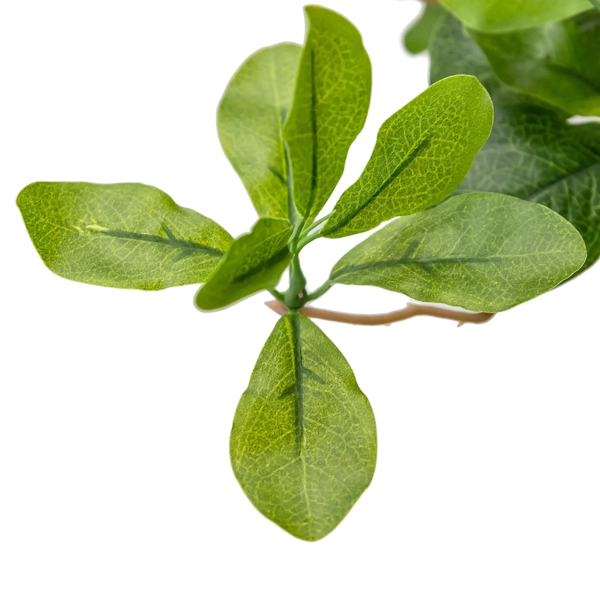 Dense foliage and high-quality construction shape the branches and leaves of this faux aralia tree, for a realistic look that's designed for easy living. Ships in a black plastic liner pot. For indoor use only Amethyst Home provides interior design, new home construction design consulting, vintage area rugs, and lighting in the Portland metro area.