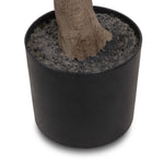 Dense foliage and high-quality construction shape the branches and leaves of this faux aralia tree, for a realistic look that's designed for easy living. Ships in a black plastic liner pot. For indoor use only Amethyst Home provides interior design, new home construction design consulting, vintage area rugs, and lighting in the Scottsdale metro area.