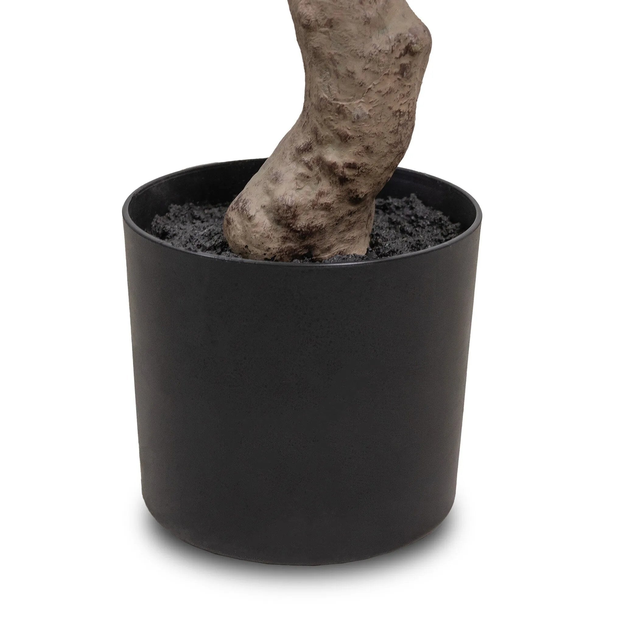 Dense foliage and high-quality construction shape the branches and leaves of this faux aralia tree, for a realistic look that's designed for easy living. Ships in a black plastic liner pot. For indoor use only Amethyst Home provides interior design, new home construction design consulting, vintage area rugs, and lighting in the Winter Garden metro area.