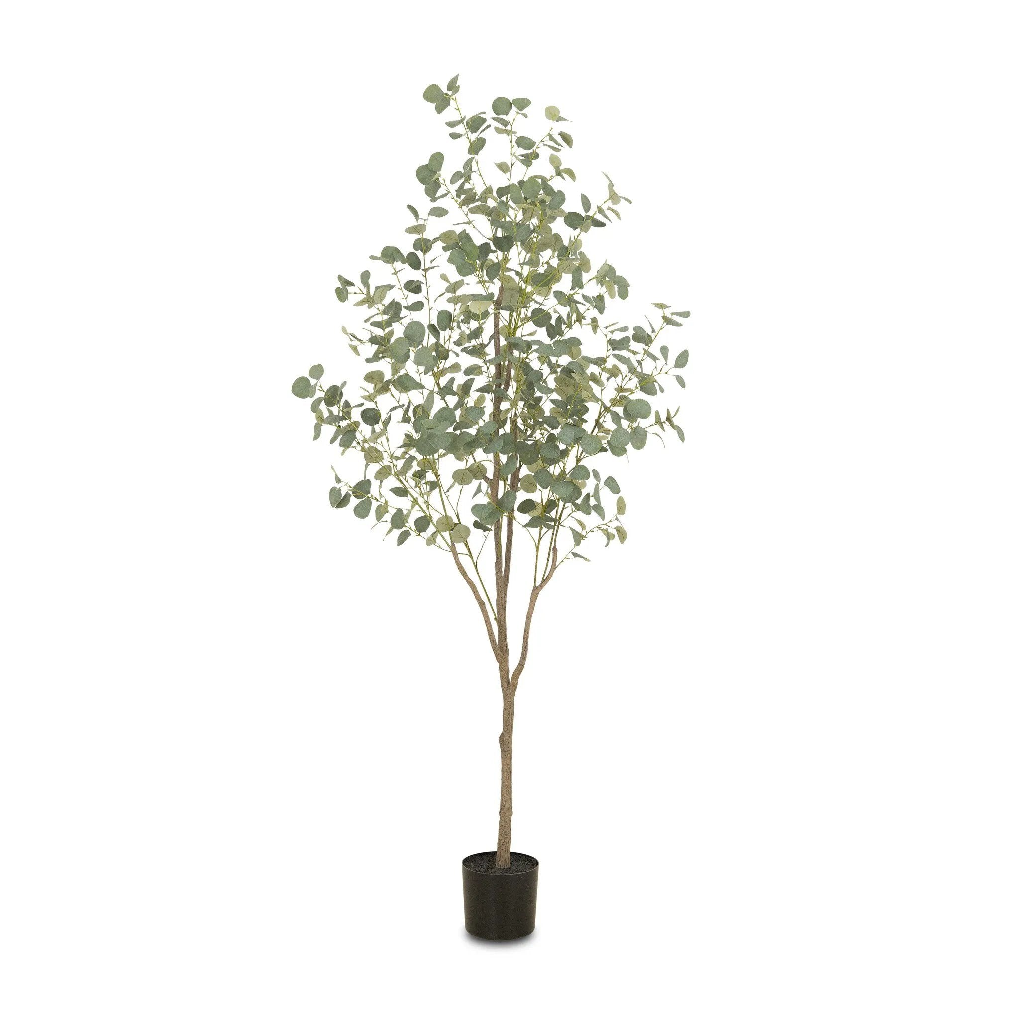 High-quality construction crafts the branches and disc-shaped leaves of this faux eucalyptus tree, for a realistic look that's designed for easy living. Ships in a black plastic liner pot. For indoor use only Amethyst Home provides interior design, new home construction design consulting, vintage area rugs, and lighting in the Alpharetta metro area.