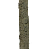 High-quality construction crafts the branches and disc-shaped leaves of this faux eucalyptus tree, for a realistic look that's designed for easy living. Ships in a black plastic liner pot. For indoor use only Amethyst Home provides interior design, new home construction design consulting, vintage area rugs, and lighting in the Houston metro area.