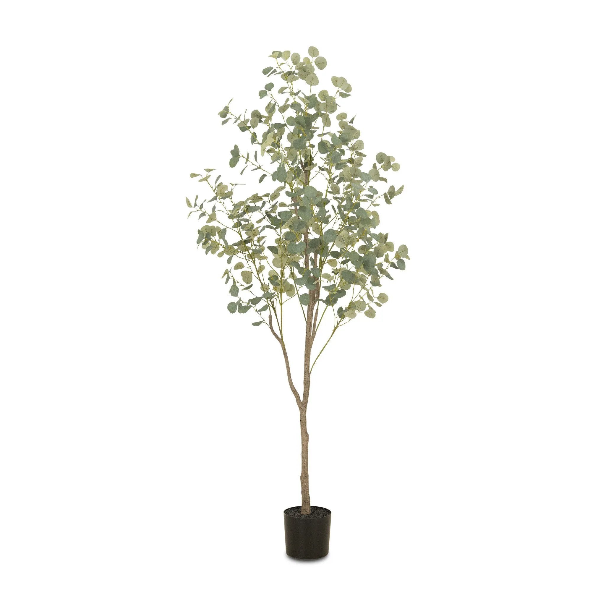 High-quality construction crafts the branches and disc-shaped leaves of this faux eucalyptus tree, for a realistic look that's designed for easy living. Ships in a black plastic liner pot. For indoor use only Amethyst Home provides interior design, new home construction design consulting, vintage area rugs, and lighting in the Nashville metro area.
