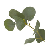 High-quality construction crafts the branches and disc-shaped leaves of this faux eucalyptus tree, for a realistic look that's designed for easy living. Ships in a black plastic liner pot. For indoor use only Amethyst Home provides interior design, new home construction design consulting, vintage area rugs, and lighting in the Salt Lake City metro area.