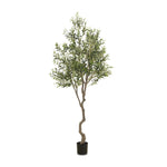 Dense foliage and high-quality construction shape the branches and leaves of this faux fruitless olive tree, for a realistic look that's designed for easy living. Ships in a black plastic liner pot. For indoor use only Amethyst Home provides interior design, new home construction design consulting, vintage area rugs, and lighting in the Charlotte metro area.
