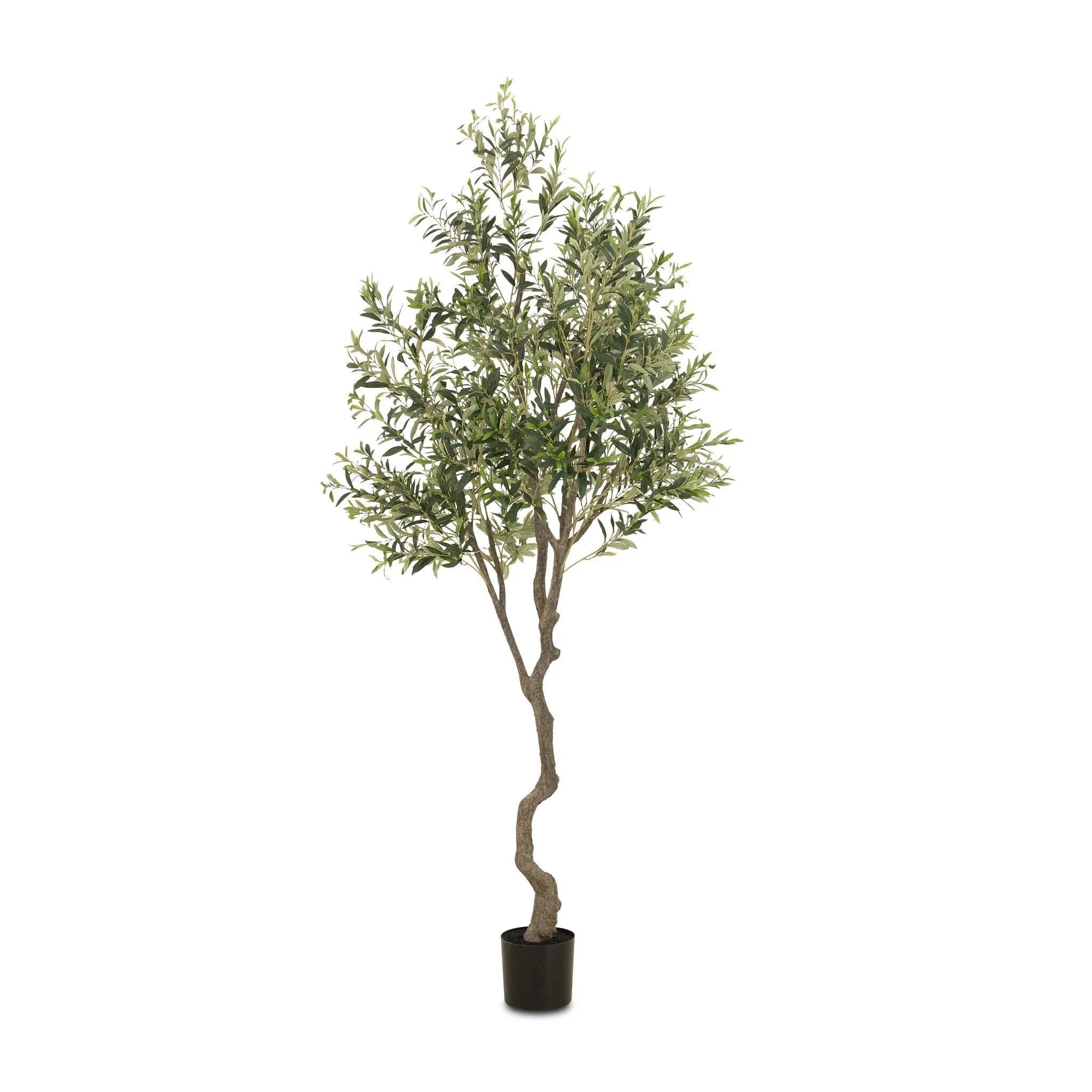 Dense foliage and high-quality construction shape the branches and leaves of this faux fruitless olive tree, for a realistic look that's designed for easy living. Ships in a black plastic liner pot. For indoor use only Amethyst Home provides interior design, new home construction design consulting, vintage area rugs, and lighting in the Charlotte metro area.