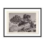 Sébastien de Feraudy fell in love with photography as a child in France, admiring his father as he developed film in his own darkroom. Slow and contemplative in his work, the now-San Franciscan emphasizes mood and composition over precision or reality. Amethyst Home provides interior design, new home construction design consulting, vintage area rugs, and lighting in the Des Moines metro area.