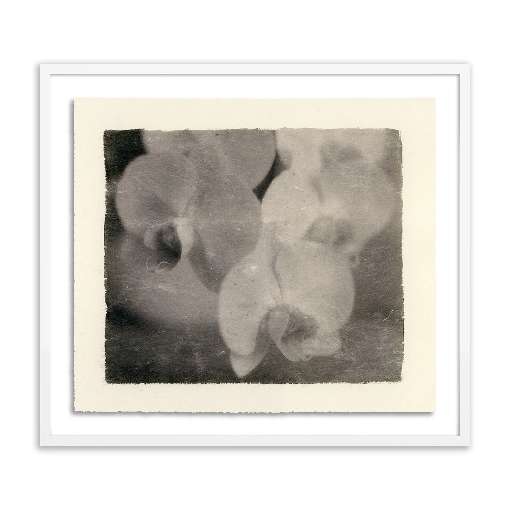 Sébastien de Feraudy fell in love with photography as a child in France, admiring his father as he developed film in his own darkroom. Slow and contemplative in his work, the now-San Franciscan emphasizes mood and composition over precision or reality. Amethyst Home provides interior design, new home construction design consulting, vintage area rugs, and lighting in the San Diego metro area.