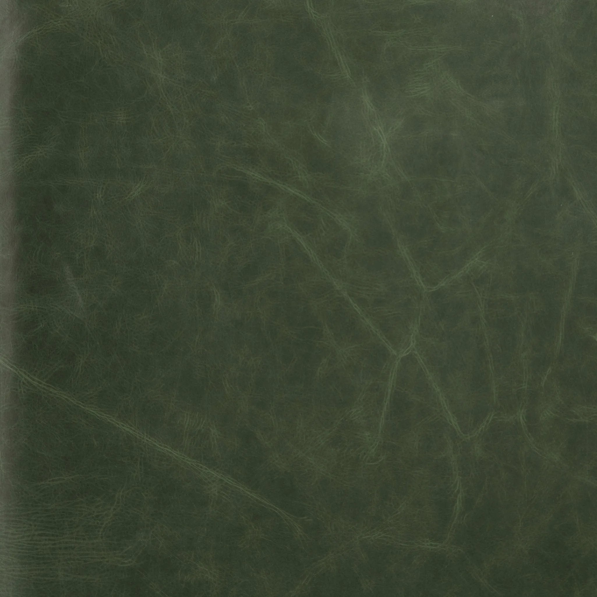 Featuring Reese Eden Sage Sofa by Four Hands at Amethyst Home. Effortlessly on-trend. Two-cushion seating of sage top-grain leather, with knife-edge pillows and welted track arms. Almond-finished legs taper for a modern touch atop mid-century influence.Overall Dimensions: 76.00"w x 35.00"d x 32.75"hWeight : 110.89 lbsMaterials: Top Grain Leather, Poplar Ply. Amethyst Home provides interior design, new home construction design consulting, vintage area rugs, and lighting in the Nashville metro area.