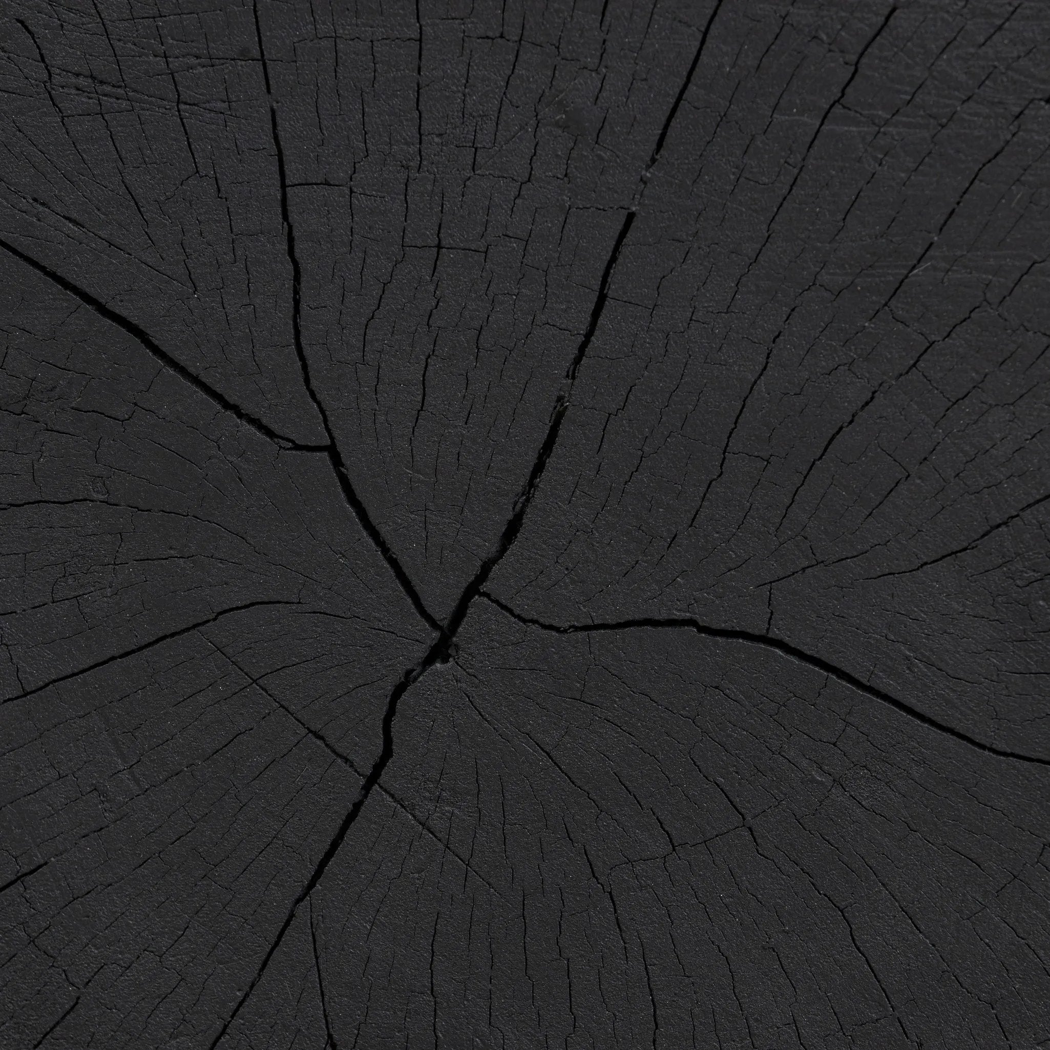 Ground any room with a style inspired by the beautiful simplicity of nature. Made of black-finished resin, the form for this special piece is molded from a tree trunk, then cast in resin to recreate the same shape and texture of the trunk — talk about a true statement piece Amethyst Home provides interior design, new home construction design consulting, vintage area rugs, and lighting in the Charlotte metro area.