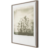 Austin, Texas-based Darden Smith’s multi-media practice encompasses music, photography, illustration, video and printmaking