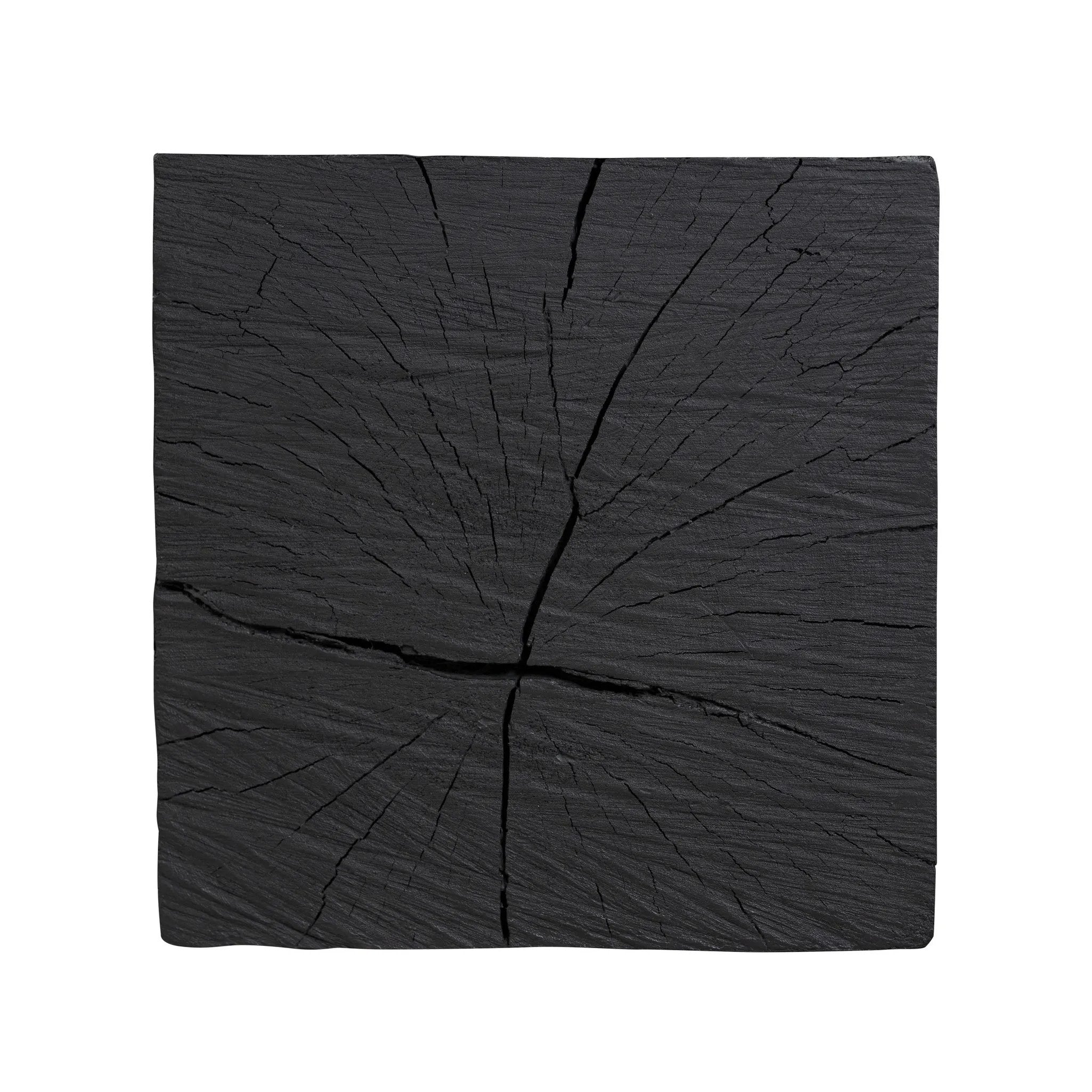 Ground any room with a style inspired by the beautiful simplicity of nature. Made of black-finished resin, the form for this special piece is molded from a tree trunk that's been cut into a square, then cast in resin to recreate the same  texture of the trunk, even the saw marks where it was cut — talk about a true statement piece Amethyst Home provides interior design, new home construction design consulting, vintage area rugs, and lighting in the Austin metro area.