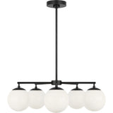 Midnight Black Bulb(s) Not Included