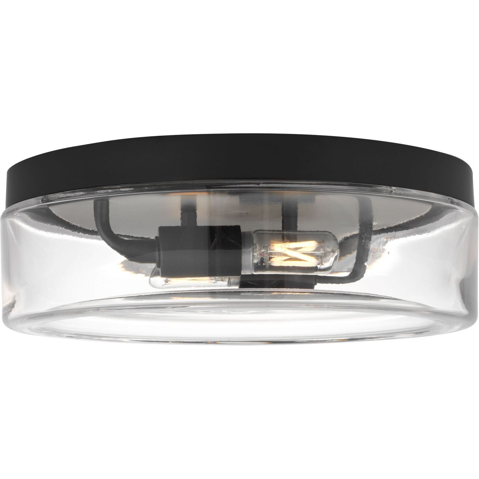 Midnight Black Bulb(s) Included