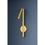 Incorporating CSL’s innovative ‘Whisper’ technology, Circleville cuts a sleek figure in Aged Brass. While it might read as industrial, the elongated tube forms lean towards modernist aesthetics. The articulating shade allows precise control to create a powerful spotlight where needed. Available as a sconce and floor lamp. Amethyst Home provides interior design, new home construction design consulting, vintage area rugs, and lighting in the Nashville metro area.