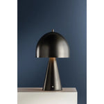 The contrast between the oblong domed shade and the conical base of Hopkinton creates a striking geometric design. Whether this petite lamp is finished in Aged Brass or Distressed Bronze, the on-trend mushroom silhouette adds a dose of personality. Its integrated rechargeable LED light source ensures lasting functionality.  Amethyst Home provides interior design, new home construction design consulting, vintage area rugs, and lighting in the Washington metro area.