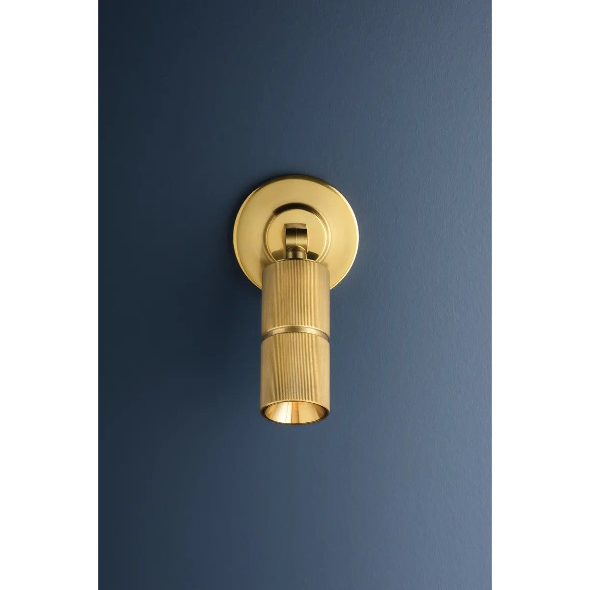 With a circular backplate, mechanical hinge, and stylish knurling details, Truett stands out as a polished lighting essential. It features CSL’s 2” diameter cylinder technology, making it perfect for spaces needing directional wall-mounted lighting. Amethyst Home provides interior design, new home construction design consulting, vintage area rugs, and lighting in the Tampa metro area.