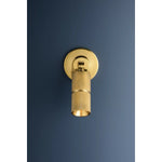 With a circular backplate, mechanical hinge, and stylish knurling details, Truett stands out as a polished lighting essential. It features CSL’s 2” diameter cylinder technology, making it perfect for spaces needing directional wall-mounted lighting. Amethyst Home provides interior design, new home construction design consulting, vintage area rugs, and lighting in the Tampa metro area.