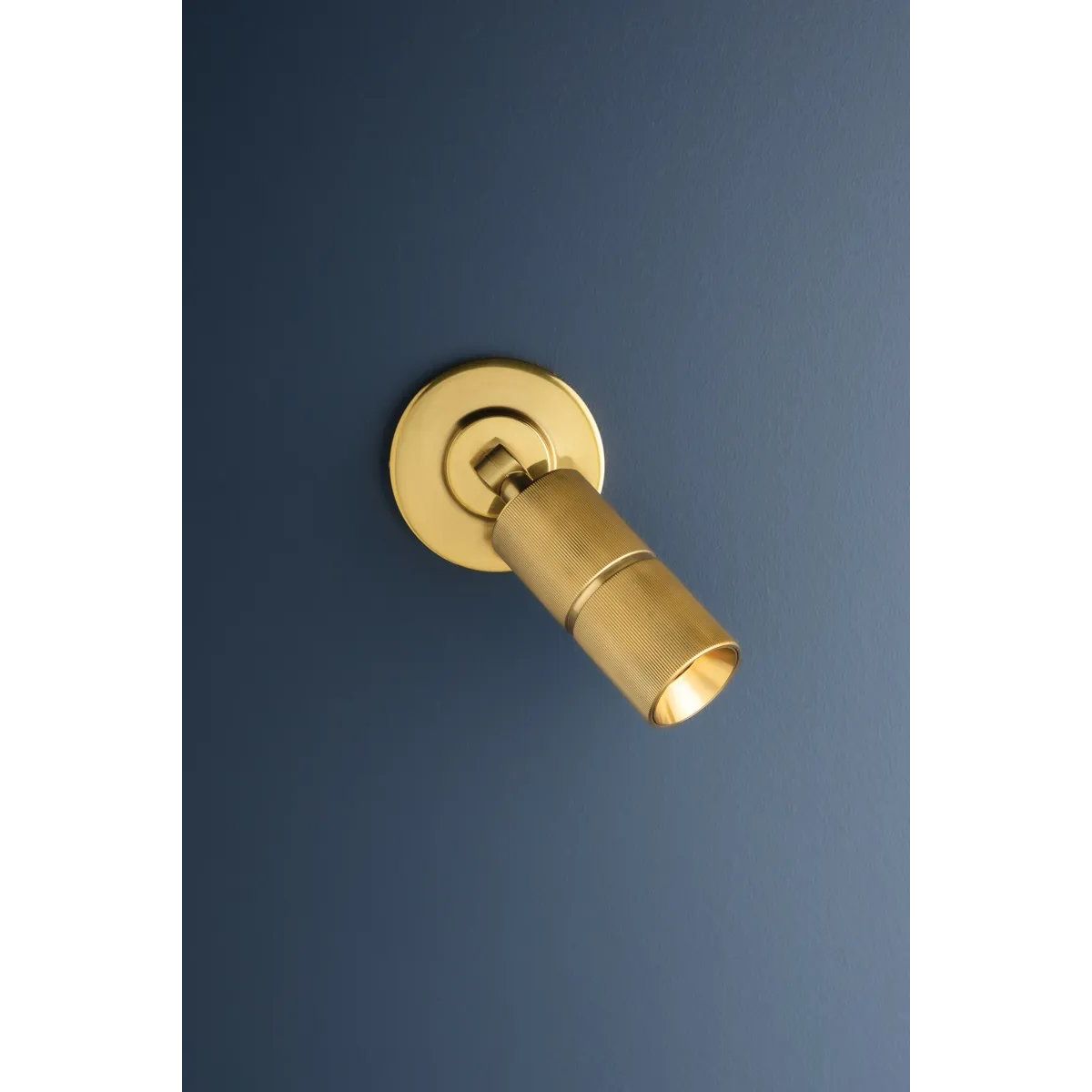 With a circular backplate, mechanical hinge, and stylish knurling details, Truett stands out as a polished lighting essential. It features CSL’s 2” diameter cylinder technology, making it perfect for spaces needing directional wall-mounted lighting. Amethyst Home provides interior design, new home construction design consulting, vintage area rugs, and lighting in the Washington metro area.