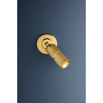 With a circular backplate, mechanical hinge, and stylish knurling details, Truett stands out as a polished lighting essential. It features CSL’s 2” diameter cylinder technology, making it perfect for spaces needing directional wall-mounted lighting. Amethyst Home provides interior design, new home construction design consulting, vintage area rugs, and lighting in the Washington metro area.