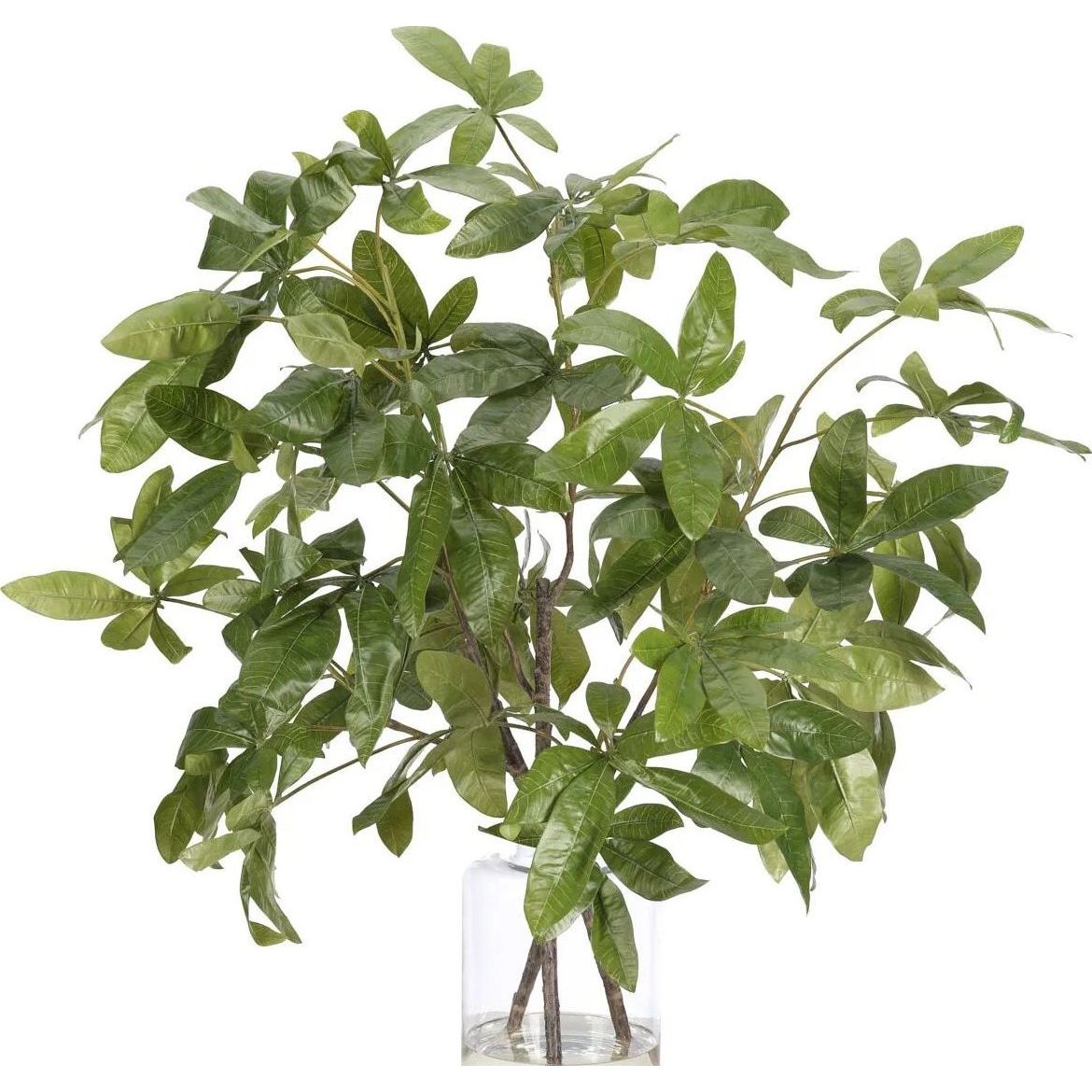 money tree garden Money Tree Branch, Faux Watergarden, 38″