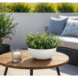 Designed for exterior spaces, this UV-rated product delivers all-season beauty and luxury. Perfect for patios, decks, entryways, or any outdoor living area. Create a luxurious atmosphere with this green Herb, housed in a Pottery Bowl. Amethyst Home provides interior design, new home construction design consulting, vintage area rugs, and lighting in the Des Moines metro area.