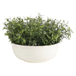 Designed for exterior spaces, this UV-rated product delivers all-season beauty and luxury. Perfect for patios, decks, entryways, or any outdoor living area. Create a luxurious atmosphere with this green Herb, housed in a Pottery Bowl. Amethyst Home provides interior design, new home construction design consulting, vintage area rugs, and lighting in the Park City metro area.