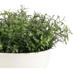 Designed for exterior spaces, this UV-rated product delivers all-season beauty and luxury. Perfect for patios, decks, entryways, or any outdoor living area. Create a luxurious atmosphere with this green Herb, housed in a Pottery Bowl. Amethyst Home provides interior design, new home construction design consulting, vintage area rugs, and lighting in the Tampa metro area.