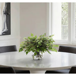 Create a luxurious atmosphere with this green Birch Leaf, housed in a glass vase. At 15", this piece captures the natural beauty of each petal, making it ideal for brightening up office desks or kitchen countertops. Admire the lifelike blooms and rich foliage, providing a timeless touch to your home's ambiance Amethyst Home provides interior design, new home construction design consulting, vintage area rugs, and lighting in the Portland metro area.