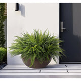 Designed for exterior spaces, this UV-rated product delivers all-season beauty and luxury. Perfect for patios, decks, entryways, or any outdoor living area. Embrace nature?s charm with the green Fern Boston, thoughtfully displayed in a Concrete Bowl. Amethyst Home provides interior design, new home construction design consulting, vintage area rugs, and lighting in the Park City metro area.